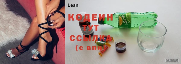 шишки Горно-Алтайск