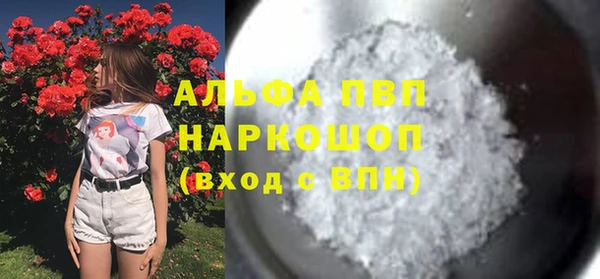 прущий лед Гусев